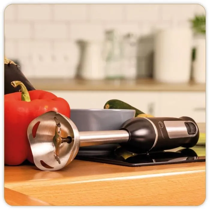 Little Balance LIT3760240784593 Batidora de mano Speed Inox 600 3