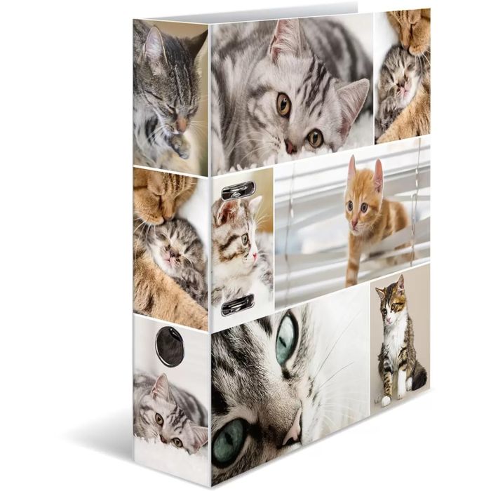 HERMA Ordner A4 Katzen 1