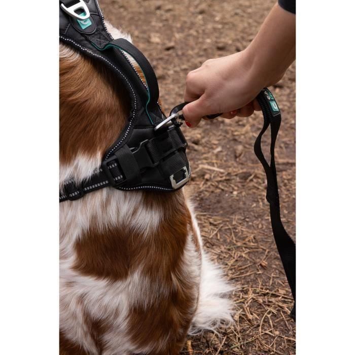 Arnés para perros - SYMBIOZ - L - Negro / Azul 5 Arnés para perros - SYMBIOZ - L - Negro / Azul 5