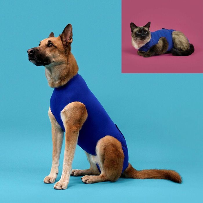 KVP Camiseta Recova S Talla Pequeña para Perros - Ayuda a Reducir Ansiedad por Separación y Cubre Zonas Quirúrgicas - Torso 25-33 cm / Pecho 45.5-53 cm - Azul