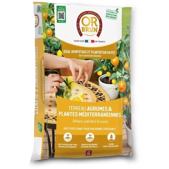 Tierra para cítricos y plantas mediterráneas - BROWN GOLD - OBRTAGR6U - 6L - Olivos, palmeras y cycas Tierra para cítricos y plantas mediterráneas - BROWN GOLD - OBRTAGR6U - 6L - Olivos, palmeras y cycas