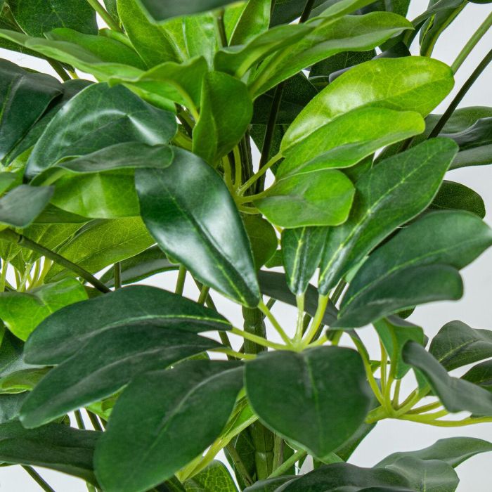 Planta Decorativa Alexandra House Living Plástico Schefflera 90 cm 1