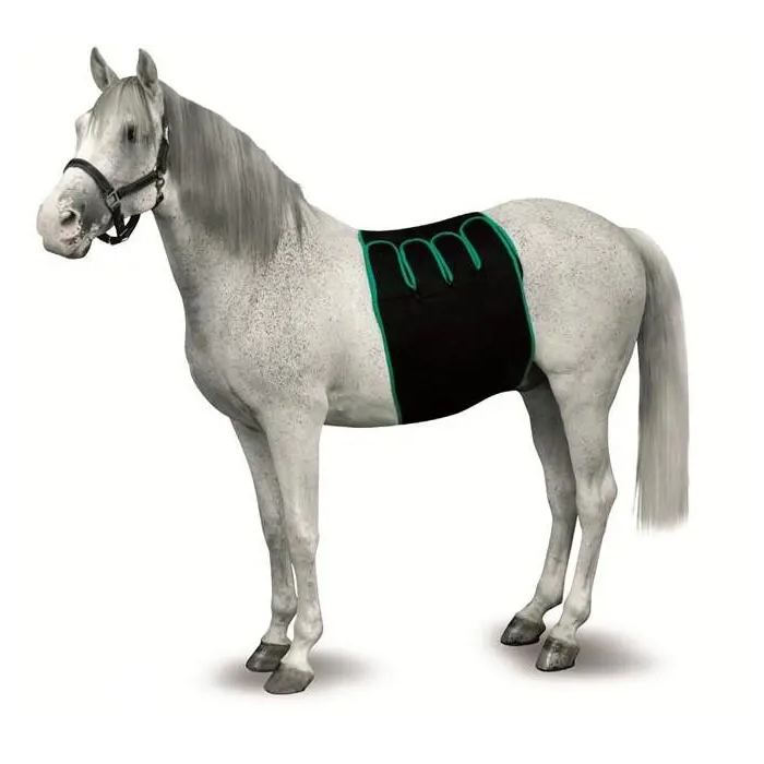 Equine Recovery Bandaging Size S