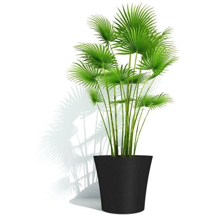 Maceta - GARDEN ID - Green Care Sense Negro-Antracita - 30 x 27 cm - 10 años de garantía - 100% reciclado - Resistencia a los rayos UV y a las heladas 3 Maceta - GARDEN ID - Green Care Sense Negro-Antracita - 30 x 27 cm - 10 años de garantía - 100% reciclado - Resistencia a los rayos UV y a las heladas 3