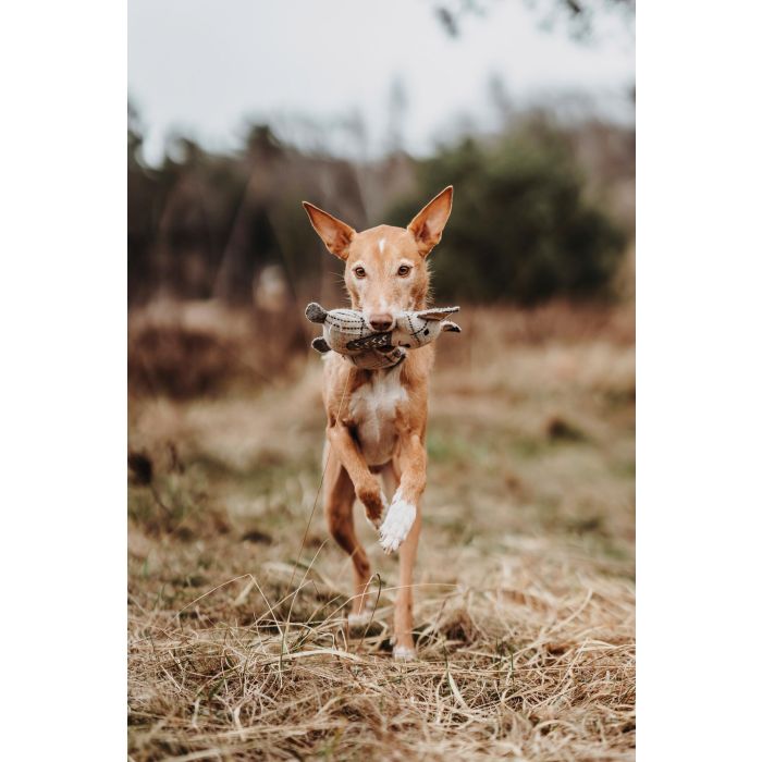 Hunter Juguete para Perro Zorro Billund 23 cm Beige con Relleno Suave y Sostenible de Lana/Poliéster Reciclado