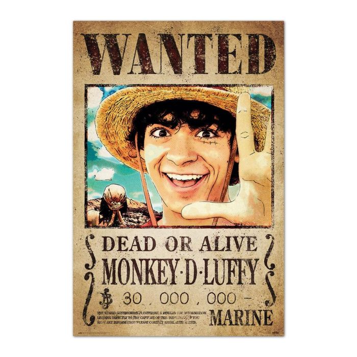 ERIK Poster Se Busca Monkey D. Luffy One Piece Tamaño 91,5x61cm Impreso en Papel Brillo de Alta Calidad 150 gr ERIK Poster Se Busca Monkey D. Luffy One Piece Tamaño 91,5x61cm Impreso en Papel Brillo de Alta Calidad 150 gr