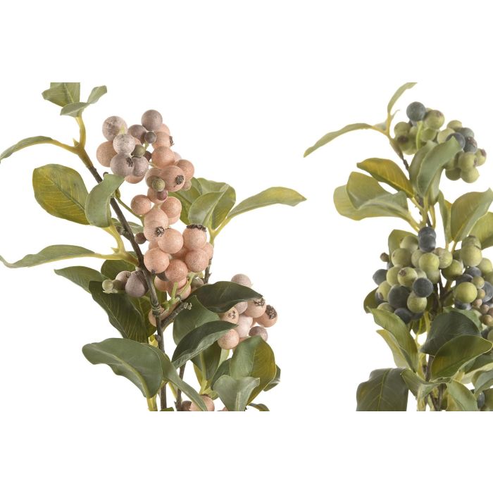 Rama  DKD Home Decor Verde Naranja 12 x 89 x 12 cm (12 Unidades) 1