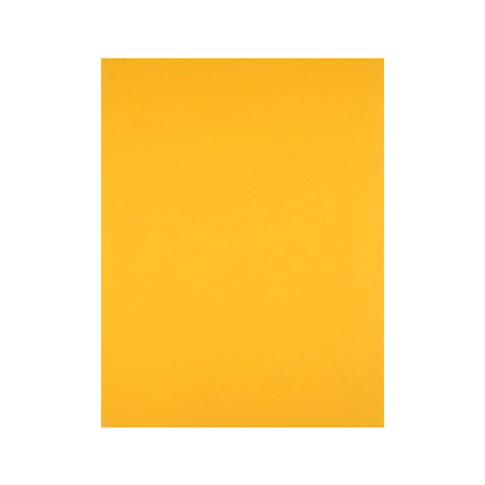 Liderpapel Cartulina 50x65 cm 180 gr Oro Viejo Unidad 1