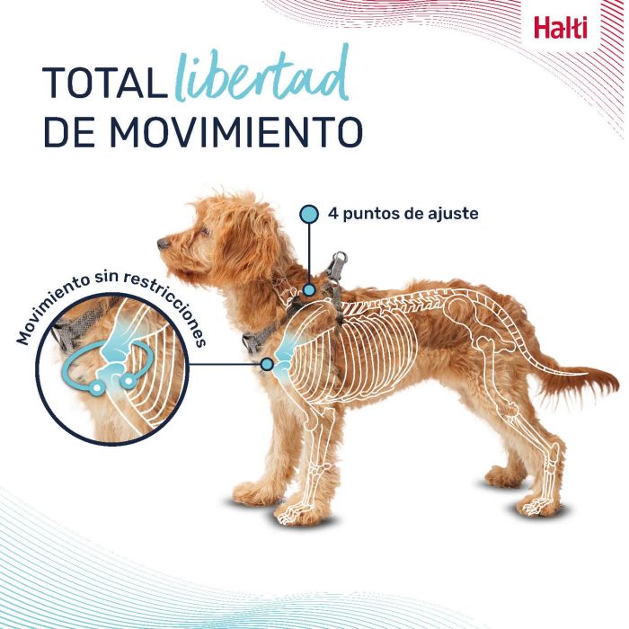 Halti Arnés Anatomy para Cachorro y Perro Pequeño Ajustable Reflector Talla XXS Cuerpo 21-30cm Cuello 22-30cm Gris
