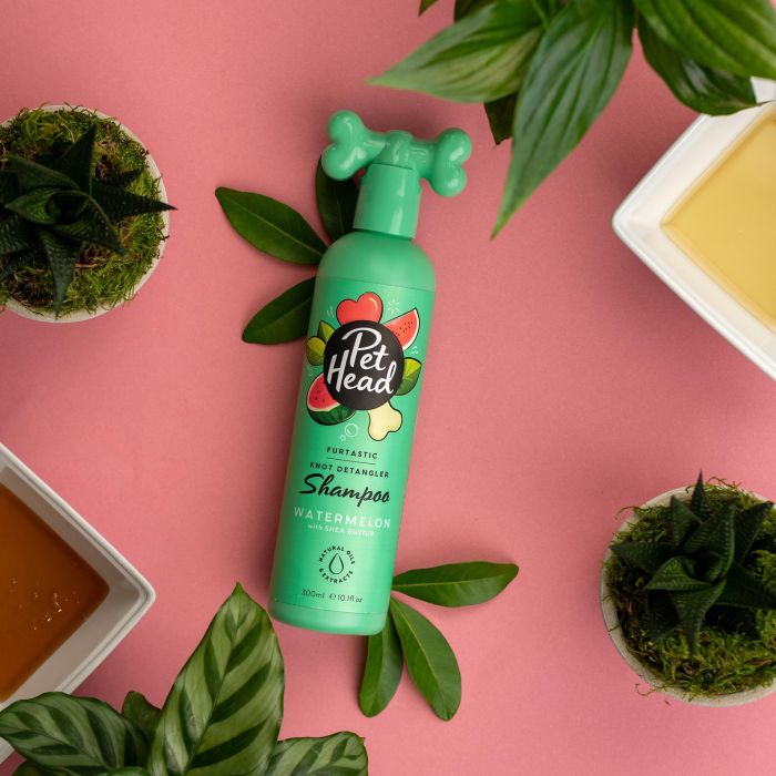 Pet Head Furtastic Champú Desenredante para Nudos y Pelaje Largo, Hidratante con Aroma Sandía 300 ml 4