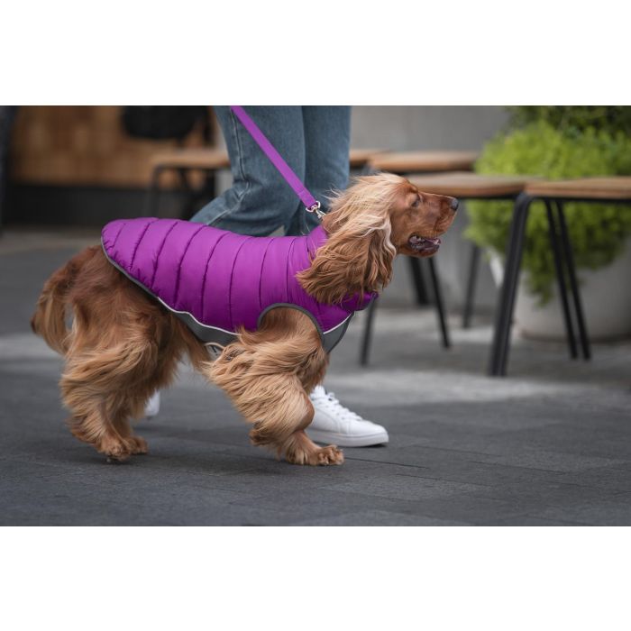 Abrigo para Perro Red Dingo Puffer Rosa/Morado 35 cm 3