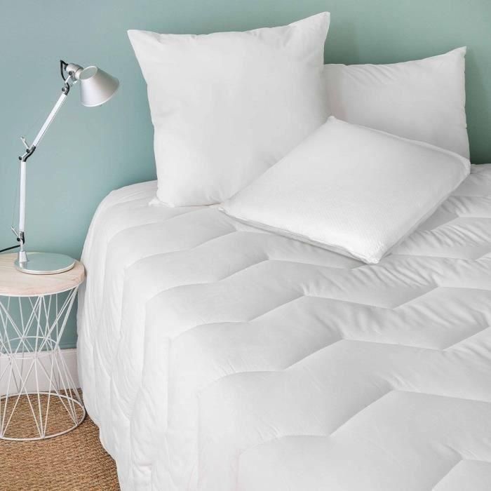 Toison D'Or SOL3045050918742 Almohada viscoelástica Mastermind 60 x 40 cm 1