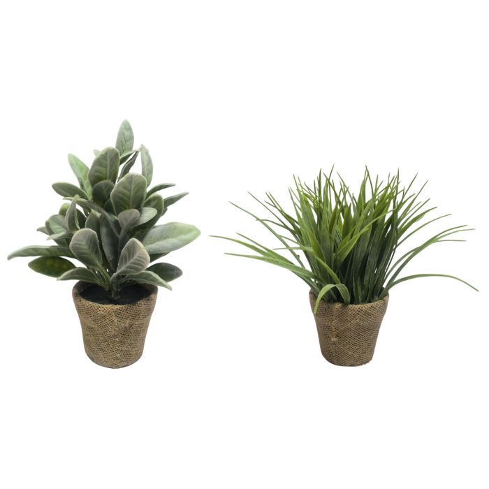 Planta  DKD Home Decor Verde Natural 13 x 25 x 13 cm (6 Unidades) 0 Planta  DKD Home Decor Verde Natural 13 x 25 x 13 cm (6 Unidades) 0