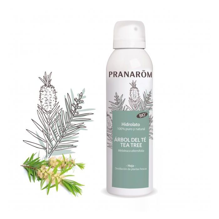 Hidrolato Árbol Del Té Bio Hidrolato Árbol Del Té Bio