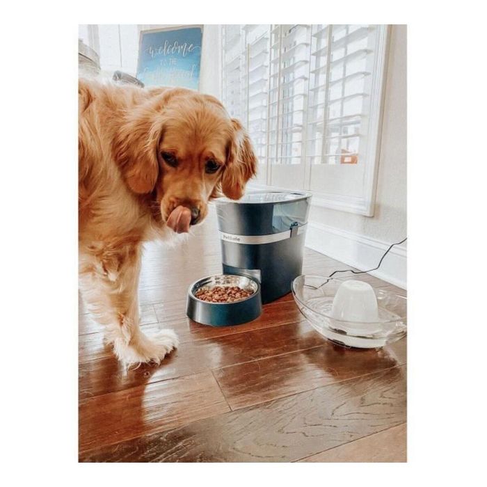 Petsafe Dispensador Smartfeed Conectado Wi-Fi para Croquetas de Perros y Gatos - Programa, Administra y Recibe Notificaciones de 12 Comidas 3 Petsafe Dispensador Smartfeed Conectado Wi-Fi para Croquetas de Perros y Gatos - Programa, Administra y Recibe Notificaciones de 12 Comidas 3