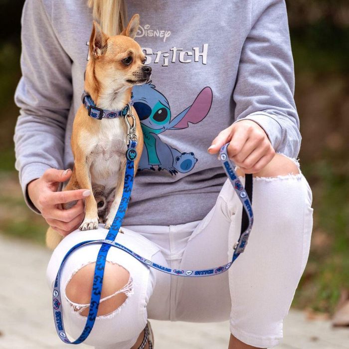 Collar premium para perros XXS/XS stitch t1XXS:XXS/XS 3 Collar premium para perros XXS/XS stitch t1XXS:XXS/XS 3