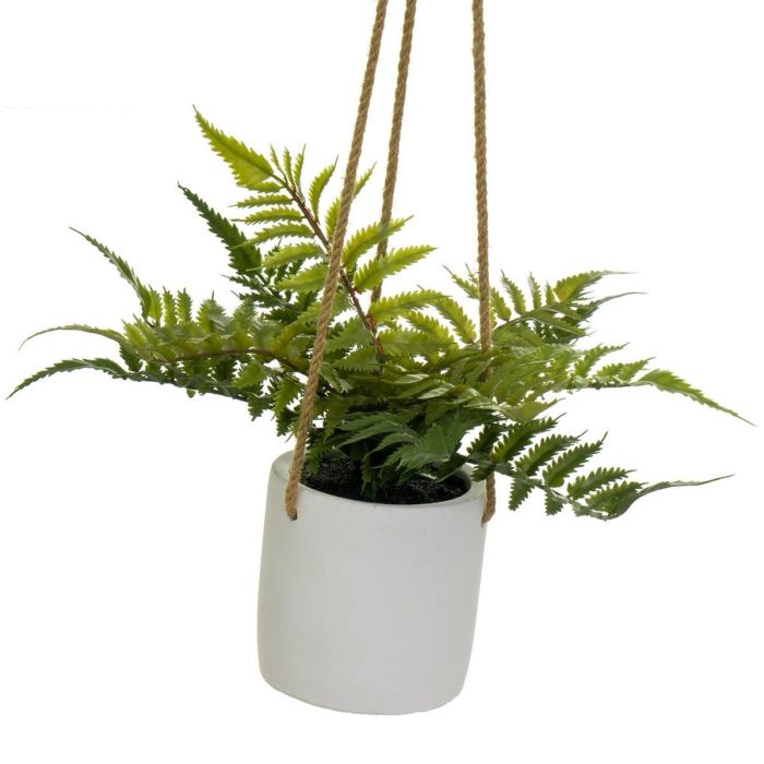 Planta Decorativa Polietileno Cemento 30 x 30 x 24 cm 3