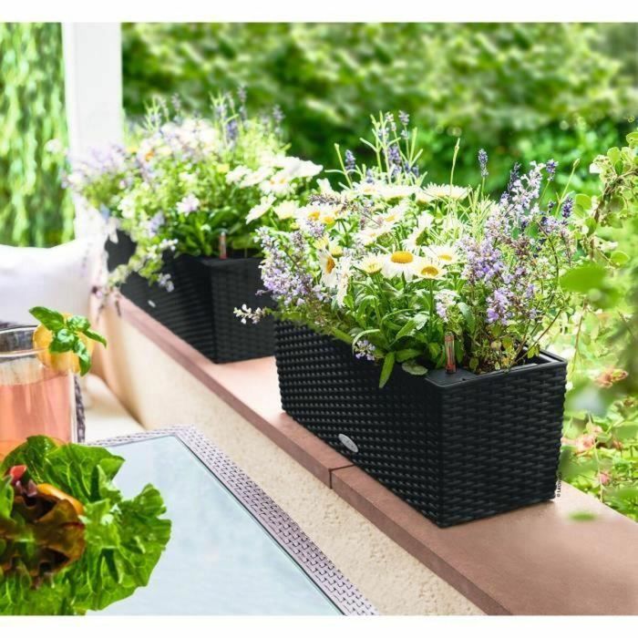 Lechuza 15609 Jardiniere Balconera Cottage 50, Maceta para Balcón, 50 x 19 x 19 cm, Kit Completo, Negro Grafito, 8 L 1