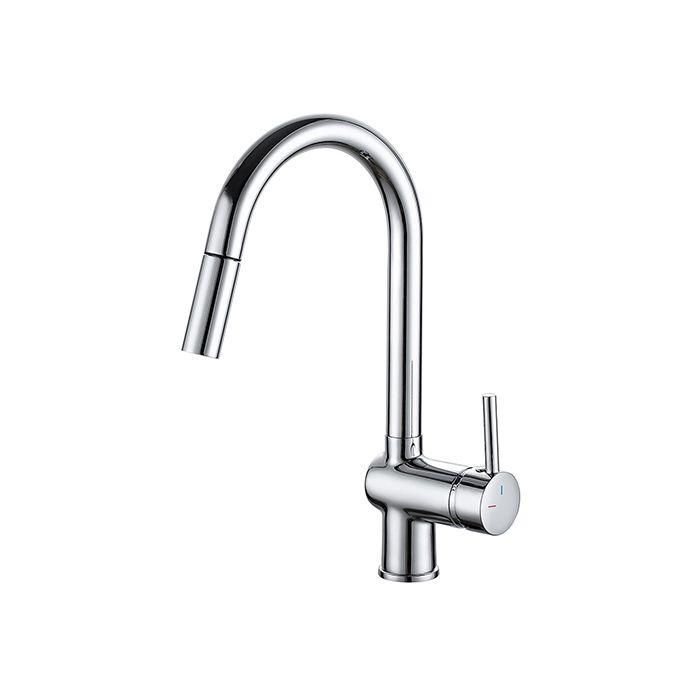 Edouard Rousseau ROU3047404059989 Mezclador de fregadero FRIBORG con ducha cromada