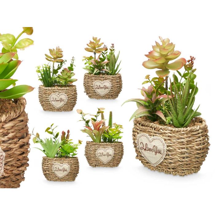 Maceta Ovalada Ibergarden 14x22x14 cm - Surtidos en Madera y Verde (12 Unidades) Maceta Ovalada Ibergarden 14x22x14 cm - Surtidos en Madera y Verde (12 Unidades)
