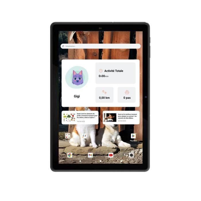Archos ARC0690590039766 Pack YUKO - Tablet T101 HD 4G 4+64 GB con Cámara WiFi y Rastreador de Actividad Bluetooth 3 Archos ARC0690590039766 Pack YUKO - Tablet T101 HD 4G 4+64 GB con Cámara WiFi y Rastreador de Actividad Bluetooth 3