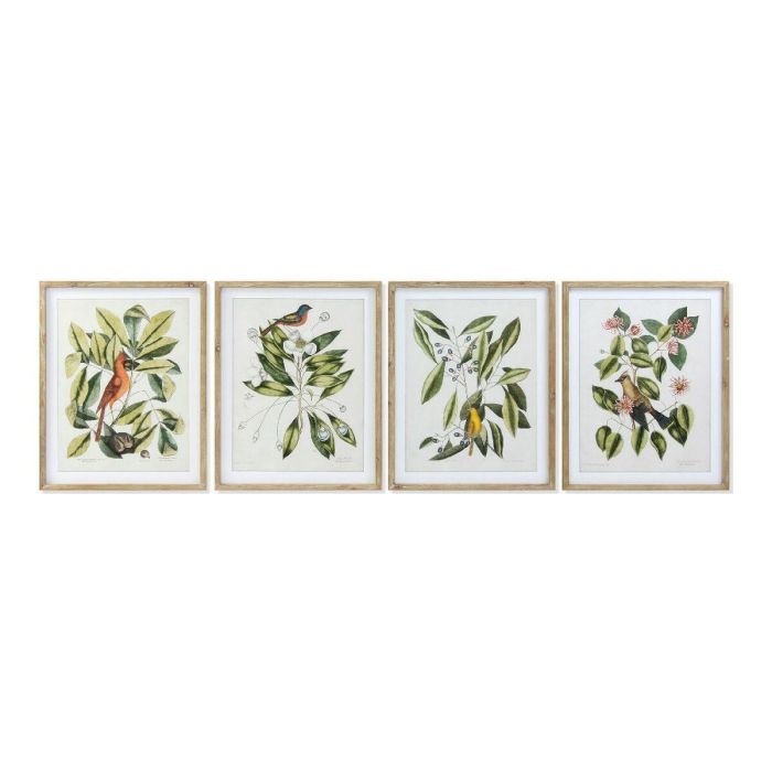 Cuadro Tropical DKD Home Decor Verde Beige 2.5 x 70 x 55 cm (4 Unidades) Cuadro Tropical DKD Home Decor Verde Beige 2.5 x 70 x 55 cm (4 Unidades)