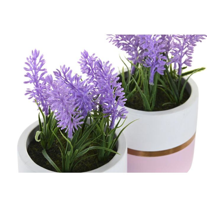 DKD Home Decor Planta Lila Rosa Palo Ceramica Pe 10.5 x 20 x 10.5 cm (4 Unidades) 2