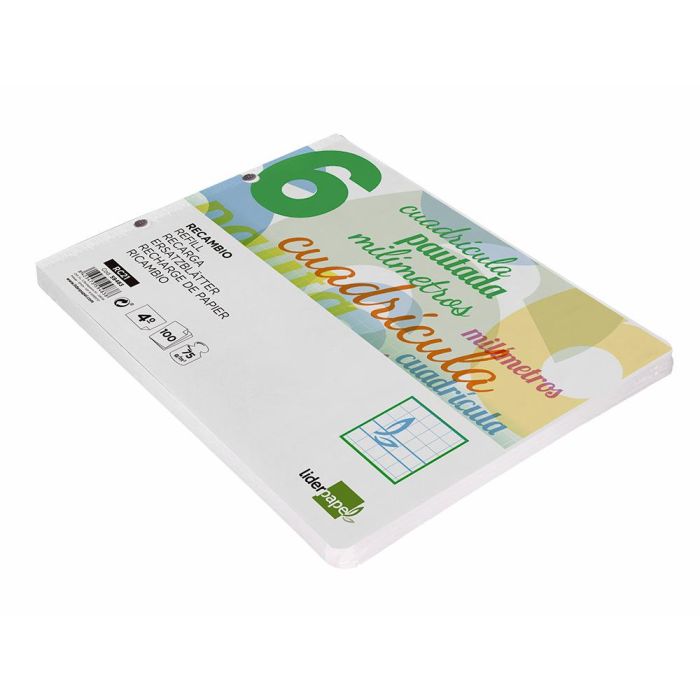 Recambio Liderpapel Cuarto Apaisado Pautaguia 100 Hojas 75 gr Cuadriculado Pautado 6 mm Con Margen 2 Taladros 4