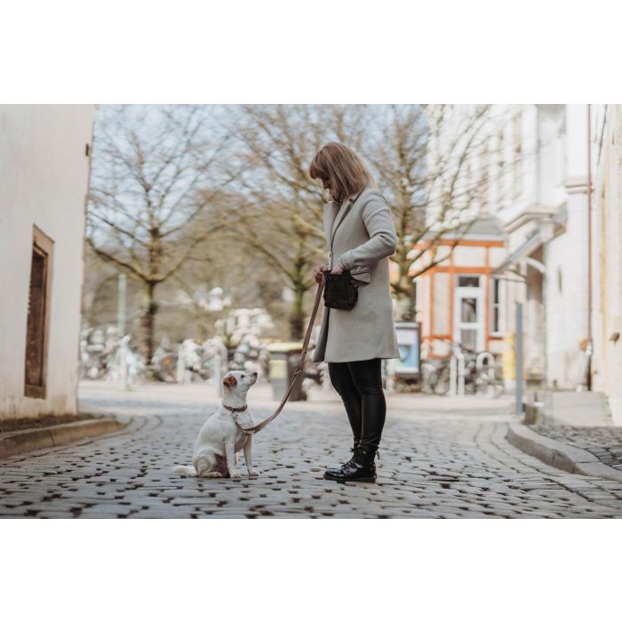 Collar para Perro Hunter Inari Beige XL 45-65 cm 3