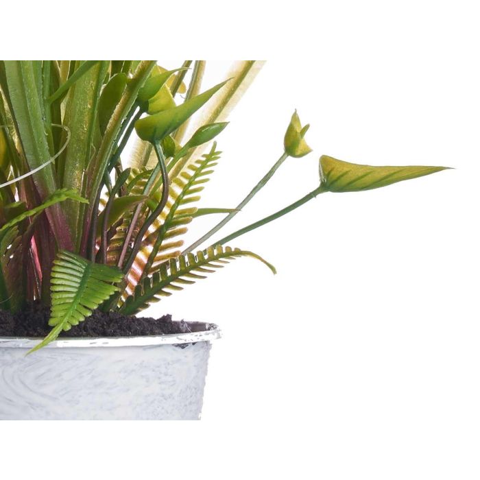 Planta Margarita Bote Metal Surtidos Ibergarden 15x31x15cm (12 Unidades) 3 Planta Margarita Bote Metal Surtidos Ibergarden 15x31x15cm (12 Unidades) 3
