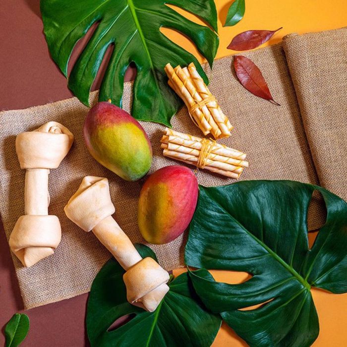 Snack para Perros Gloria Rawhide 6