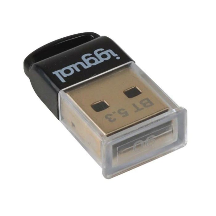 Adaptador Bluetooth iggual IGG319383 1 Adaptador Bluetooth iggual IGG319383 1