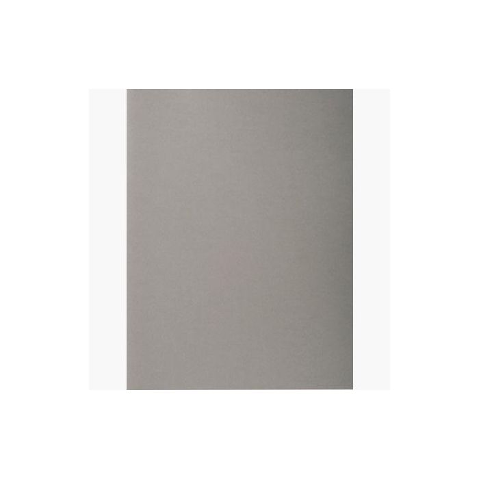 Exacompta Subcarpetas A4 Forever Color Gris 220 gr -100U- Exacompta Subcarpetas A4 Forever Color Gris 220 gr -100U-