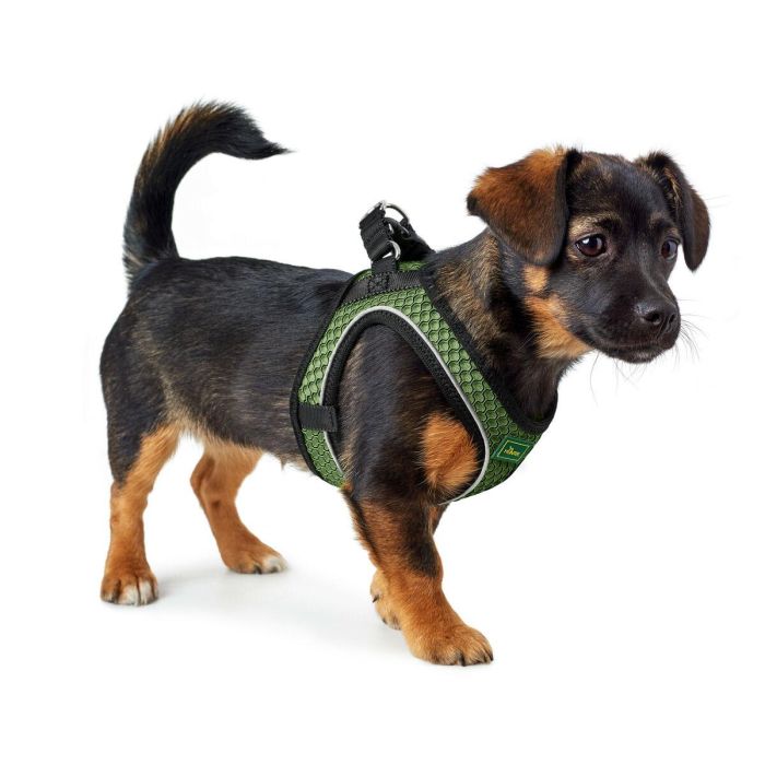 Arnés Hilo Comfort XXS-XS Cuello:30-35 cm Verde Claro 3 Arnés Hilo Comfort XXS-XS Cuello:30-35 cm Verde Claro 3