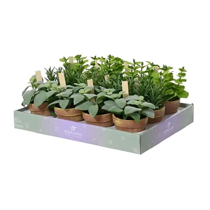 Planta artificial de plástico, modelos variados 1 Planta artificial de plástico, modelos variados 1