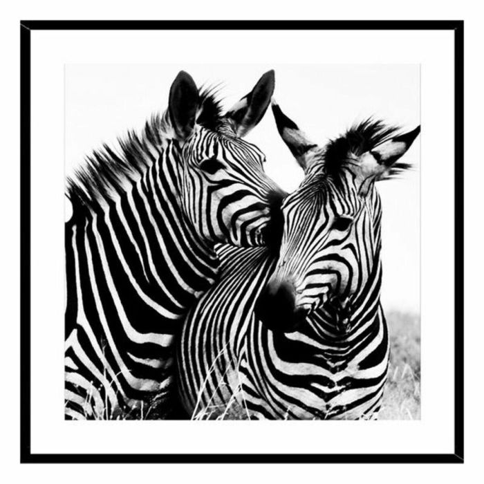 Cuadro Zebra Cristal (2 x 50 x 50 cm) 0 Cuadro Zebra Cristal (2 x 50 x 50 cm) 0