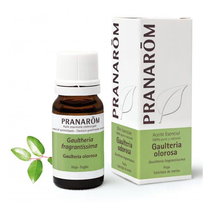 PRANAROM Aceite Esencial de Gaulteria Olorosa Hoja Bio 10ml