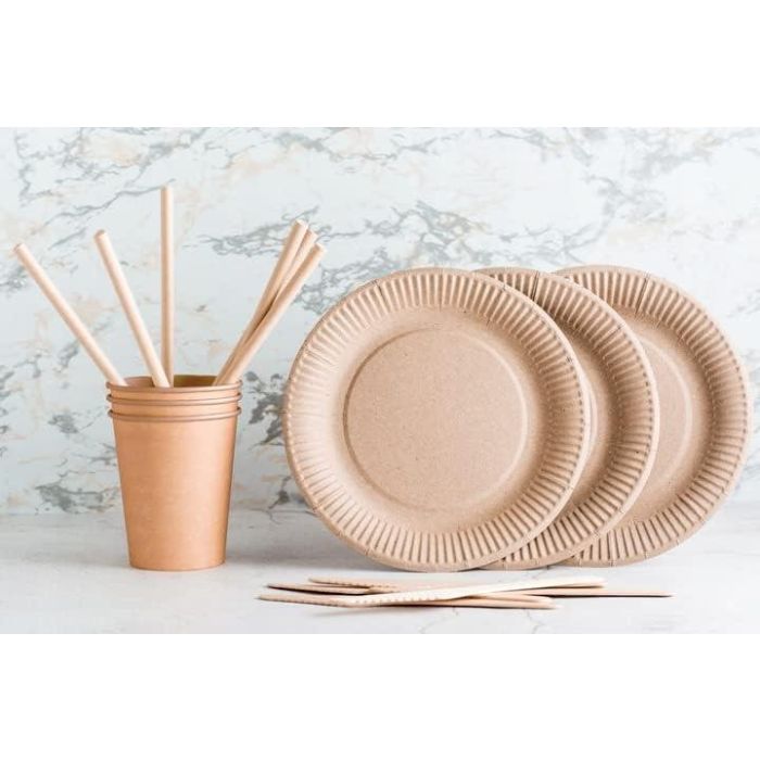 Set de 10 platos de cartón Kraft 20 cm Algon (24 Cajas) 3 Set de 10 platos de cartón Kraft 20 cm Algon (24 Cajas) 3
