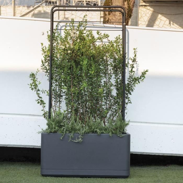 Jardinera Muret - DEROMA - Cosmo - Antracita - Con reserva de agua - Ruedas - 78 cm 3 Jardinera Muret - DEROMA - Cosmo - Antracita - Con reserva de agua - Ruedas - 78 cm 3