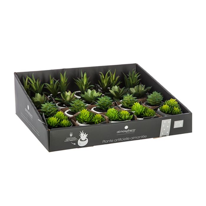 Mini plantas decorativas con iman modelos surtidos 6cm 1