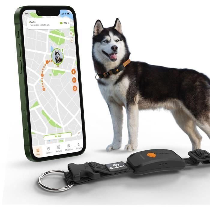 Weenect WEE3770000300796 Collar GPS para perros Dog XT Antena XL Resistente al agua compatible Julius-K9 Negro - Requiere suscripción 1 Weenect WEE3770000300796 Collar GPS para perros Dog XT Antena XL Resistente al agua compatible Julius-K9 Negro - Requiere suscripción 1