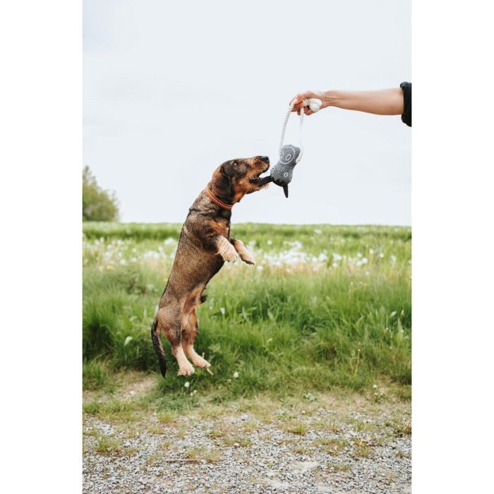 Juguete para perros Hunter Nebraska Marrón Poliéster Vaca 4 Juguete para perros Hunter Nebraska Marrón Poliéster Vaca 4