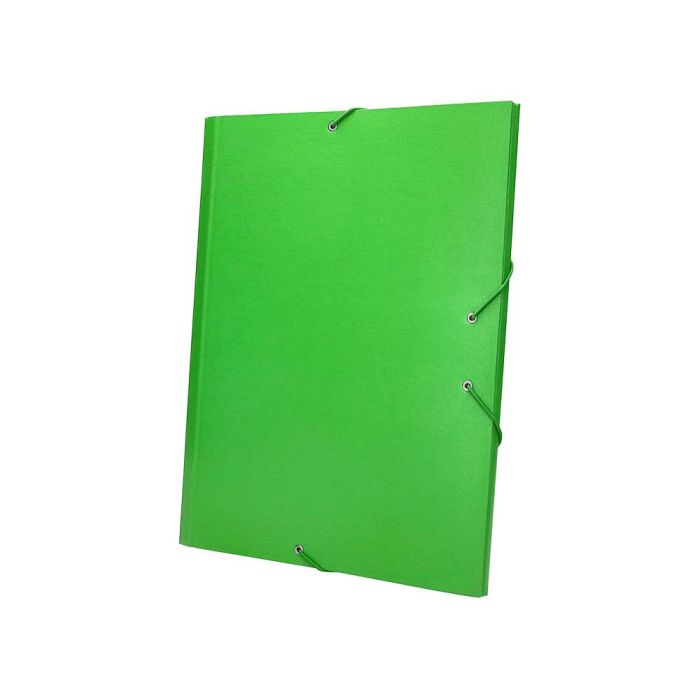 Carpeta Clasificadora Liderpapel 12 Departamentos Folio Prolongado Carton Forrado Verde Claro 1