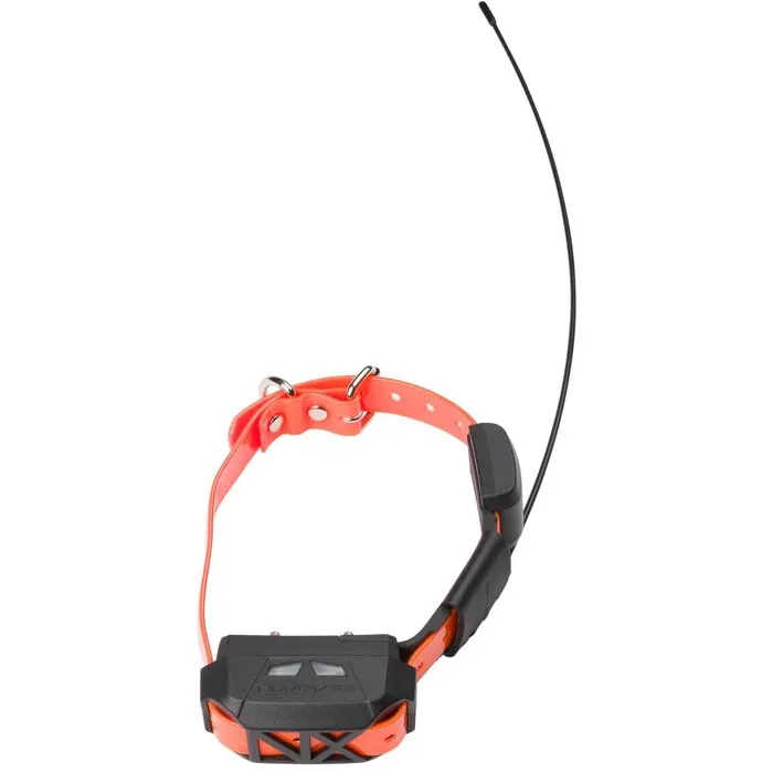Num'Axes Collar de Seguimiento GPS para Perros con Función de Adiestramiento, AABCQ12479, Naranja