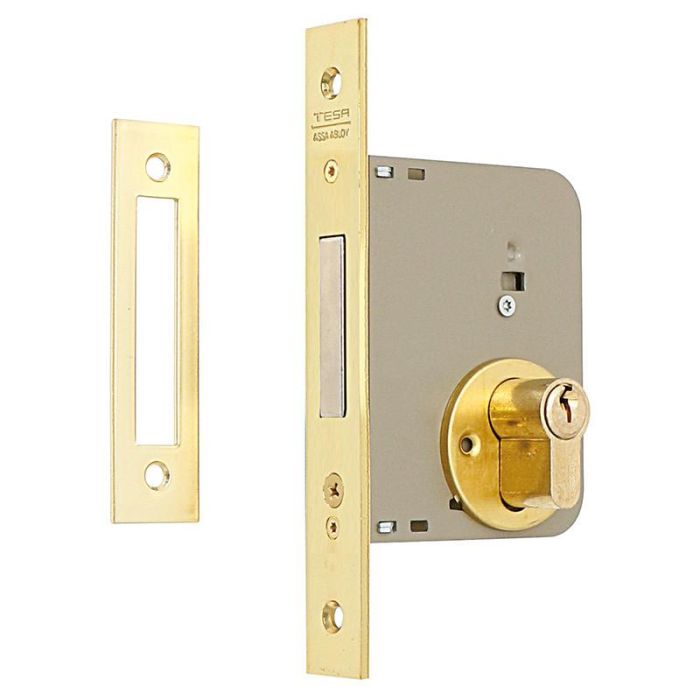 TESA 2031/50/Hl Cerradura de Embutir para Puertas de Madera, Entrada 50mm, Ejes 85mm, Frontal Recto, Reversible, Dorada, Cilindro TE5