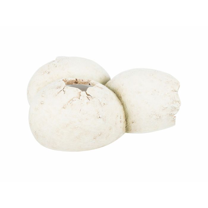 Cueva para reptiles Trixie Blanco 2 Cueva para reptiles Trixie Blanco 2