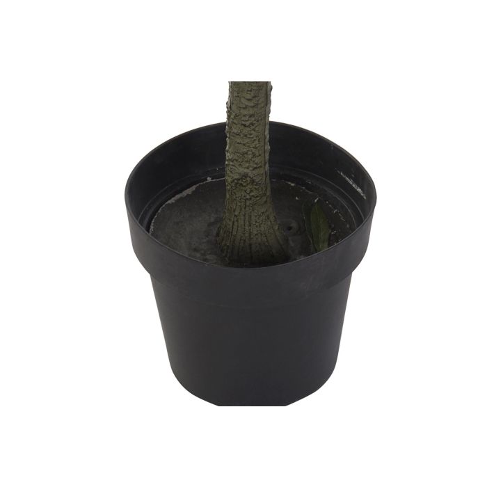 DKD Home Decor Árbol Neoclásico Verde 50 x 142 x 50 cm (2 Unidades) Poliéster, Polipropileno, Cemento 3