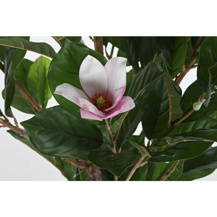 Planta DKD Home Decor Verde Rosa 60 x 125 x 60 cm 1 Planta DKD Home Decor Verde Rosa 60 x 125 x 60 cm 1