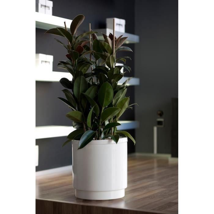 PLASTIKEN Maceta con reserva de agua Hidrojardinera - Ø48 cm - Blanco 1 PLASTIKEN Maceta con reserva de agua Hidrojardinera - Ø48 cm - Blanco 1