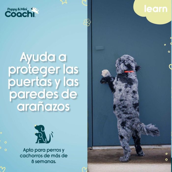 Arnés para Perro Coachi 3 Arnés para Perro Coachi 3